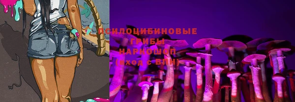 apvp Алексеевка