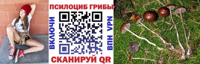Псилоцибиновые грибы мухоморы Харовск